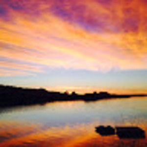 Meet your Posher, Shasta